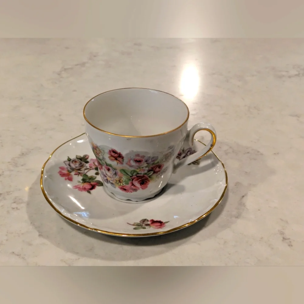 Bareuther Waldsassen Bavaria Germany Teacup and Saucer Excellent Condition